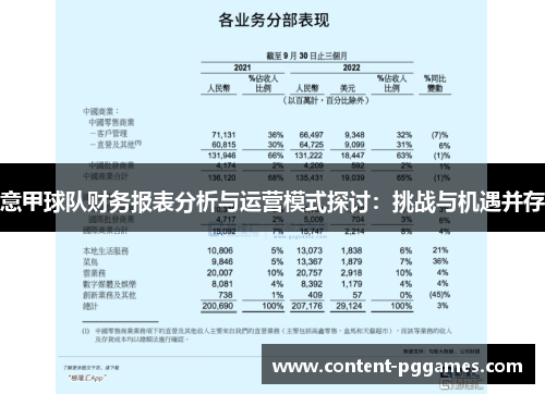 意甲球队财务报表分析与运营模式探讨：挑战与机遇并存