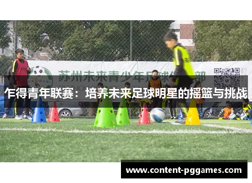 乍得青年联赛：培养未来足球明星的摇篮与挑战
