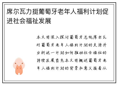 席尔瓦力挺葡萄牙老年人福利计划促进社会福祉发展