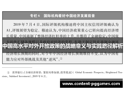 中国高水平对外开放政策的战略意义与实践路径解析