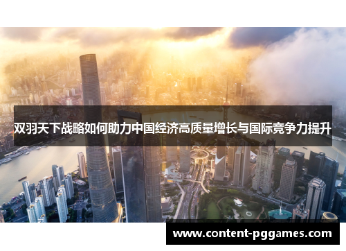 双羽天下战略如何助力中国经济高质量增长与国际竞争力提升