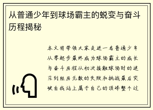 从普通少年到球场霸主的蜕变与奋斗历程揭秘