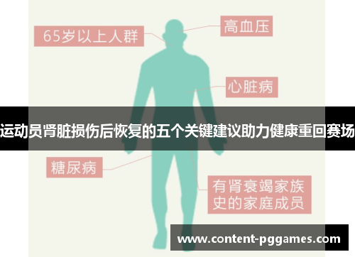 运动员肾脏损伤后恢复的五个关键建议助力健康重回赛场