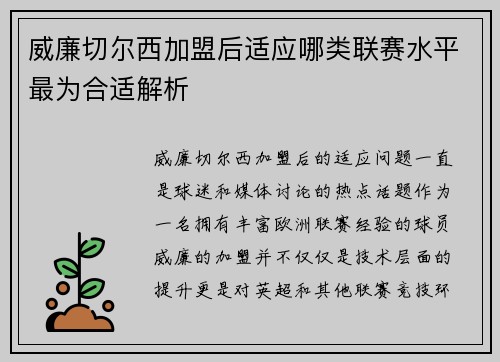 威廉切尔西加盟后适应哪类联赛水平最为合适解析
