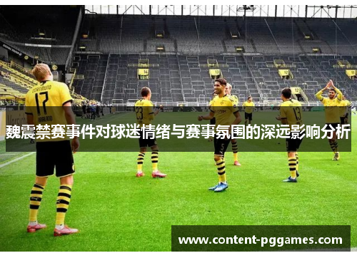魏震禁赛事件对球迷情绪与赛事氛围的深远影响分析