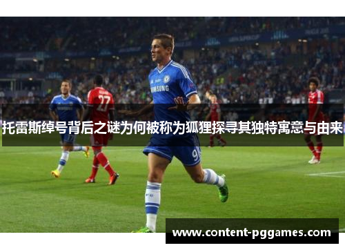 托雷斯绰号背后之谜为何被称为狐狸探寻其独特寓意与由来